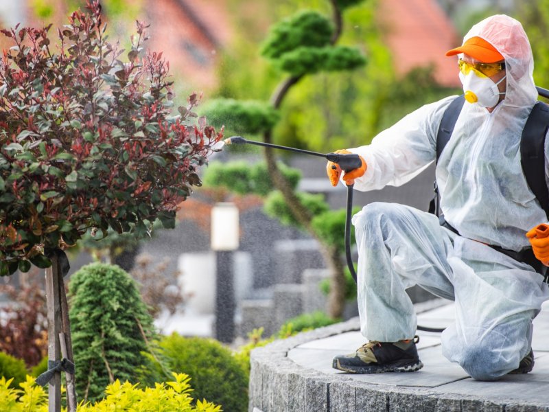 Silifke Haşere İlaçlama